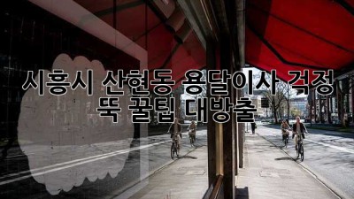 시흥시 산현동 용달이사, 걱정 뚝! 꿀팁 대방출